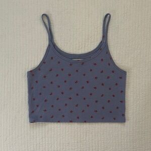 American Eagle Outfitters Periwinkle Cropped Tank with Red Floral Print